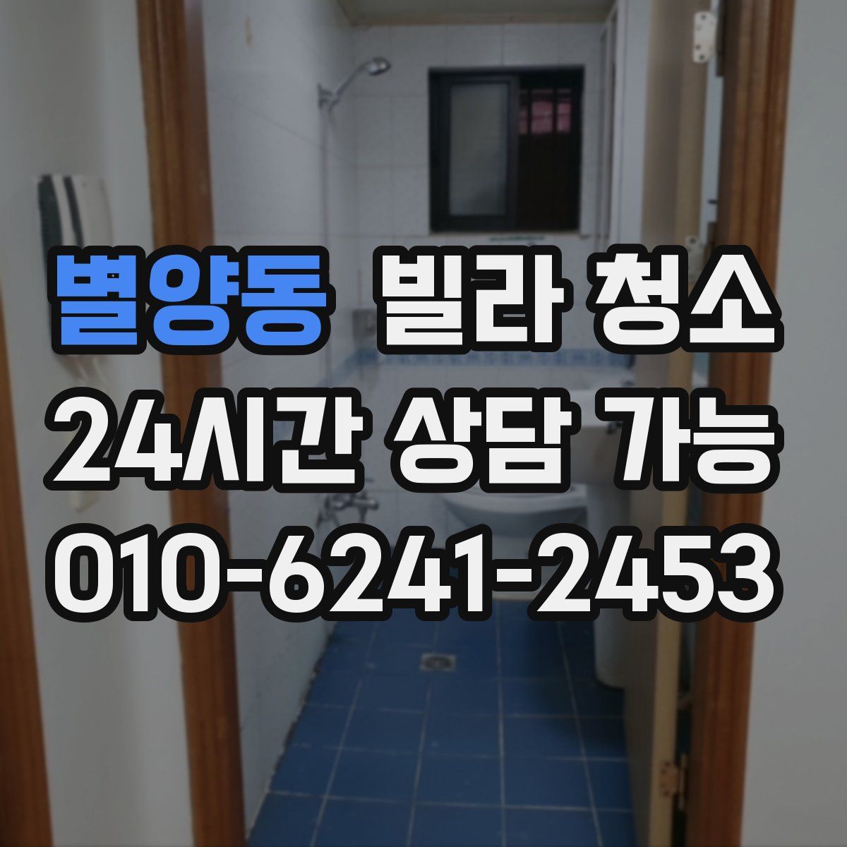 별양동 빌라 청소