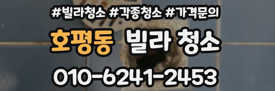 호평동 빌라 청소