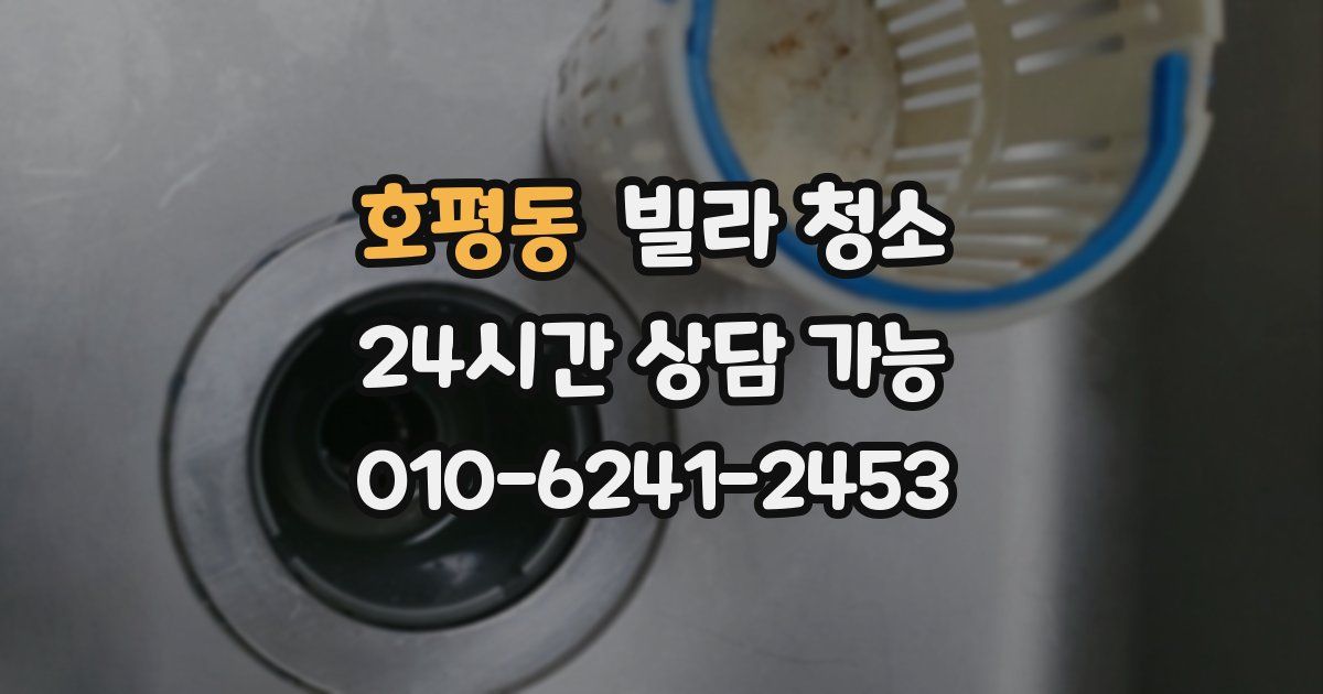 호평동 빌라 청소