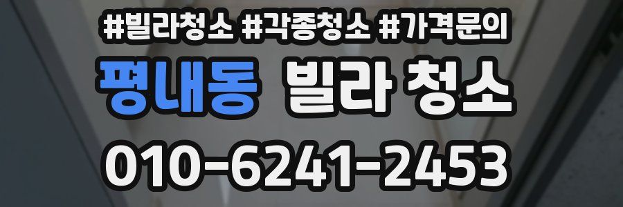 평내동 빌라 청소