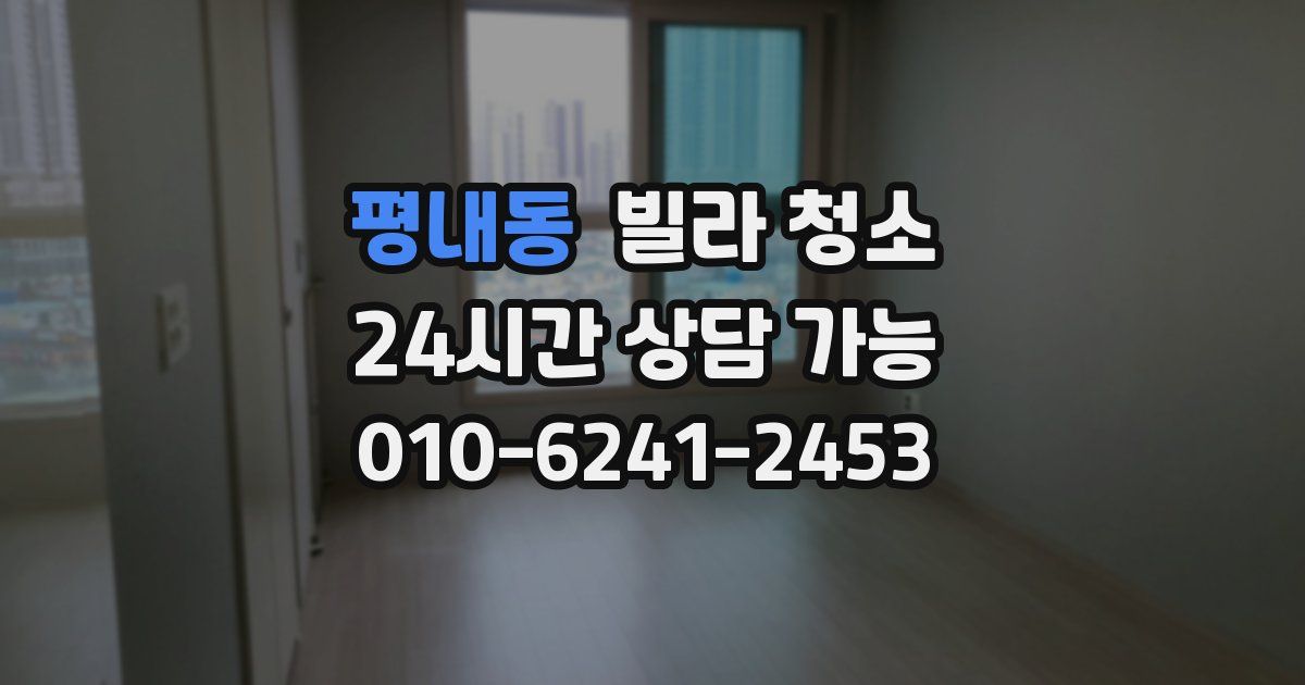 평내동 빌라 청소