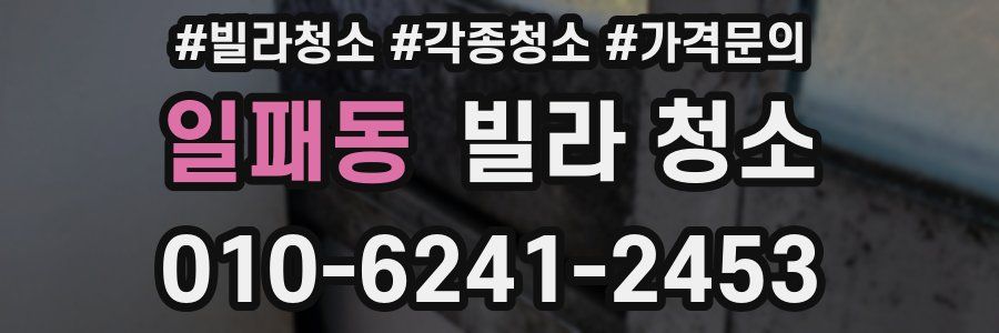 일패동 빌라 청소