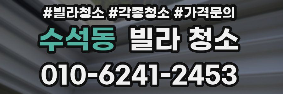 수석동 빌라 청소