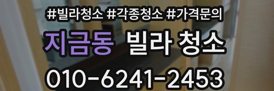 지금동 빌라 청소