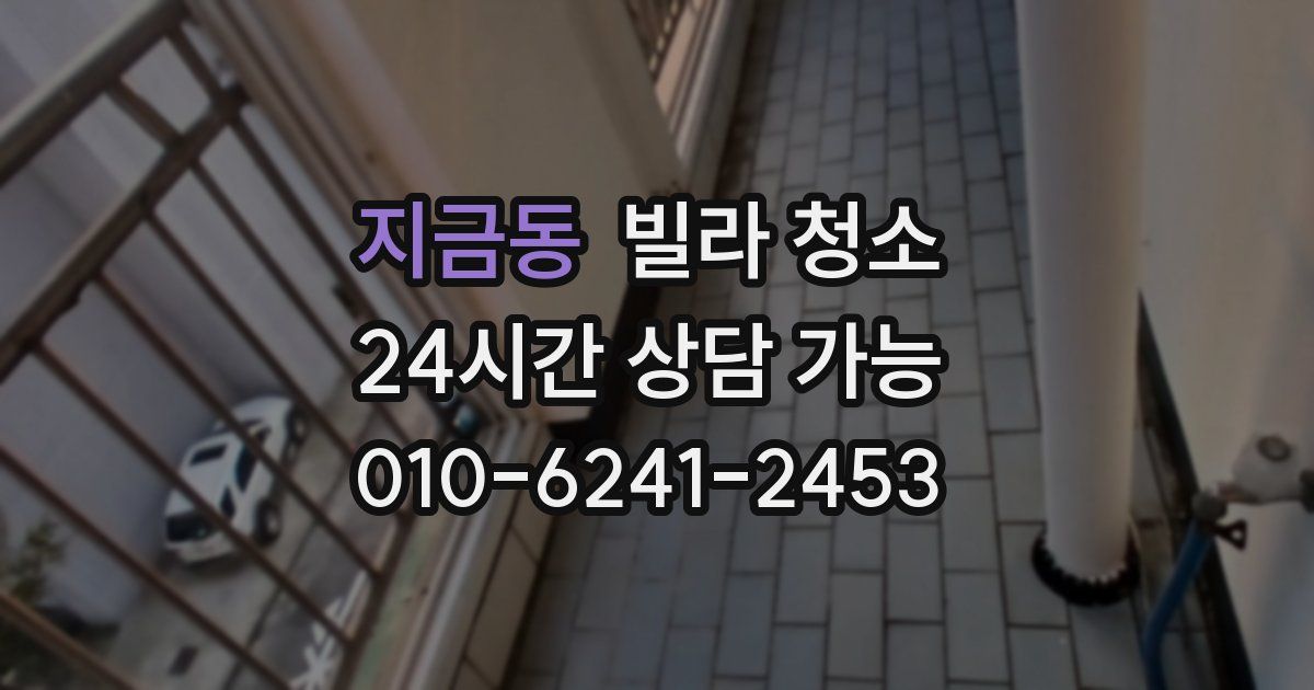 지금동 빌라 청소
