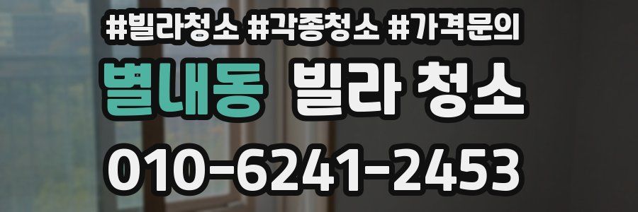 별내동 빌라 청소