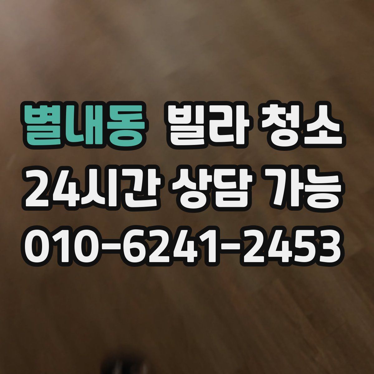 별내동 빌라 청소