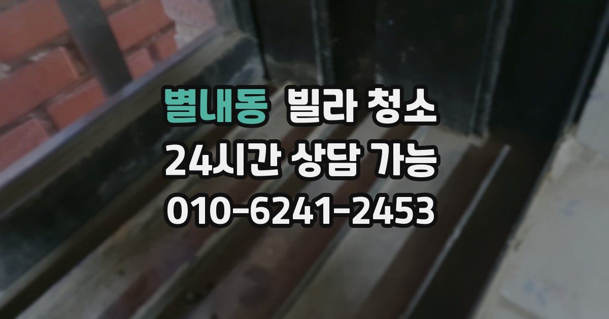 별내동 빌라 청소