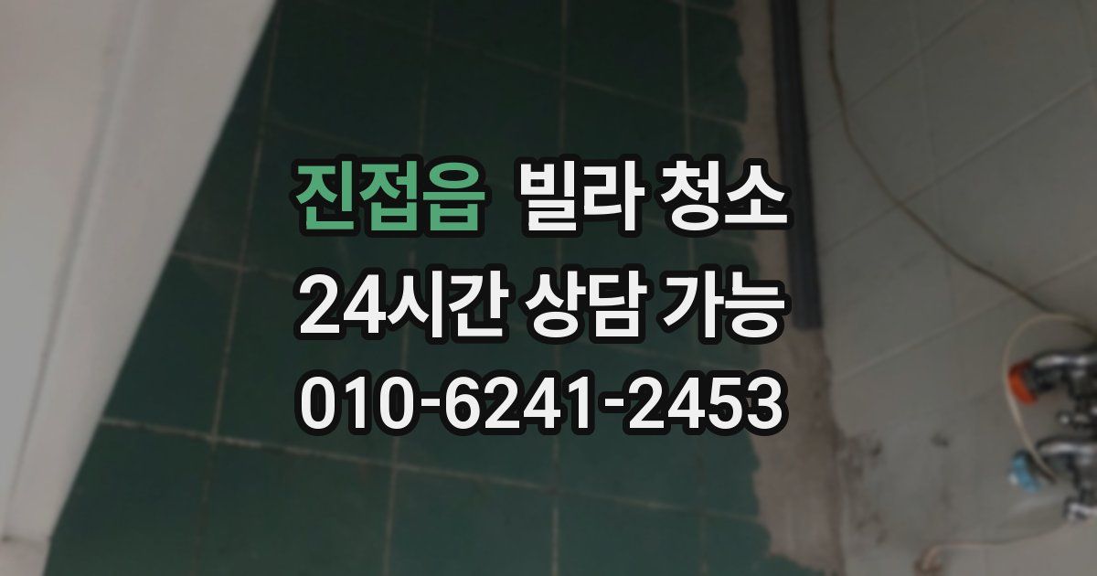 진접읍 빌라 청소