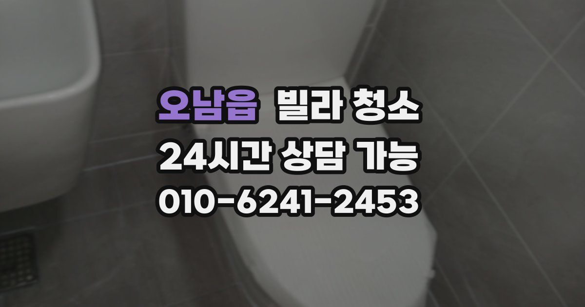 오남읍 빌라 청소