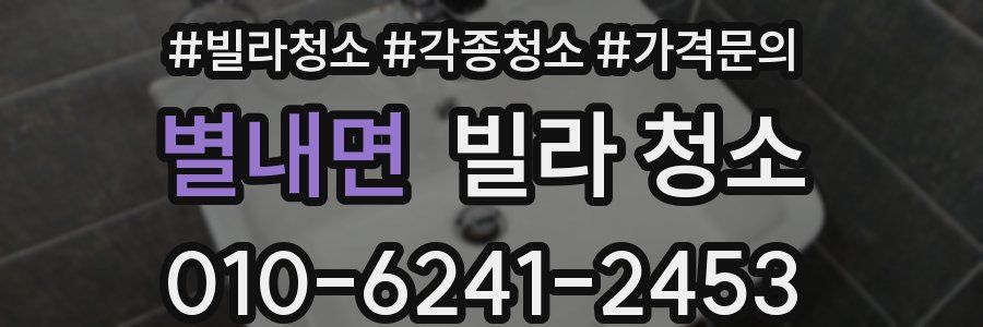 별내면 빌라 청소