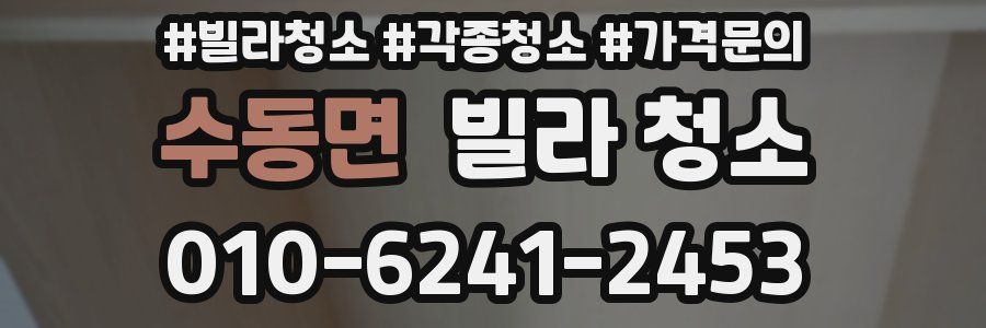 수동면 빌라 청소