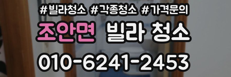 조안면 빌라 청소