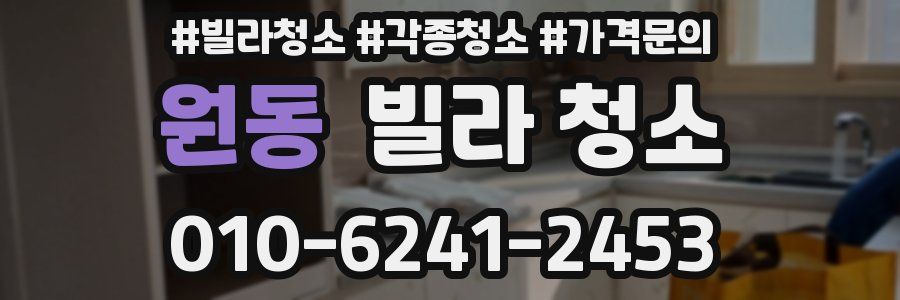 원동 빌라 청소