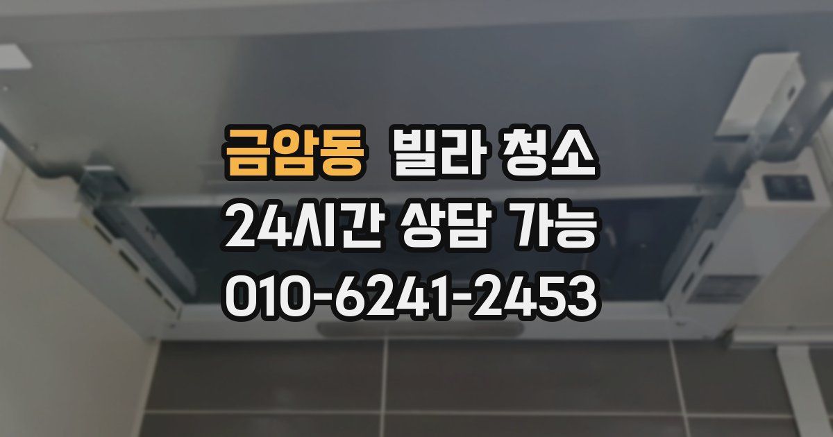 금암동 빌라 청소