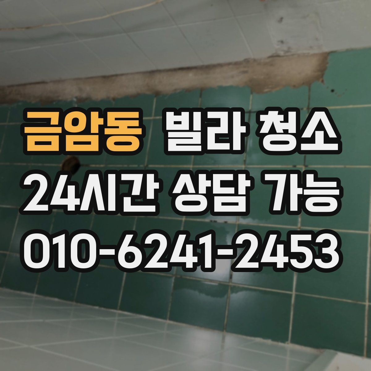 금암동 빌라 청소