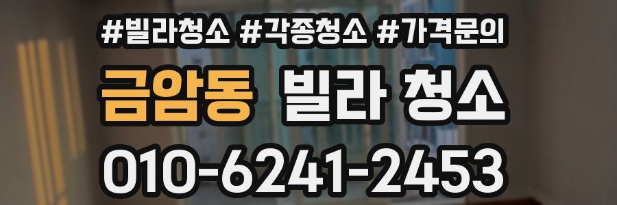 금암동 빌라 청소