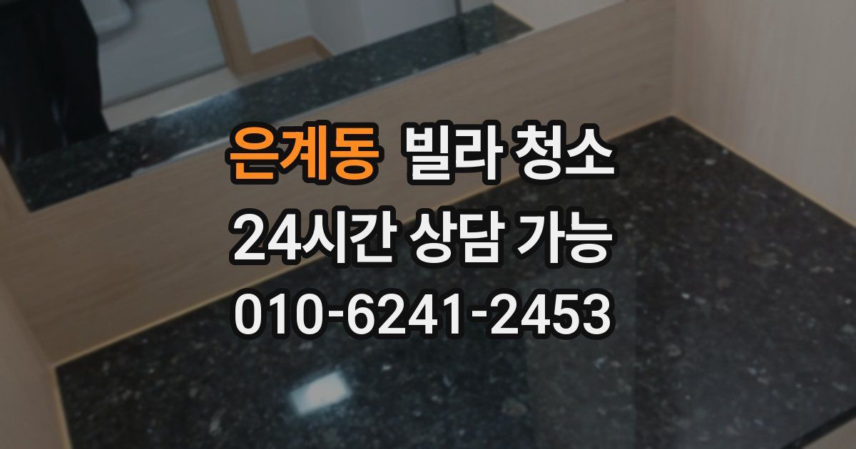 은계동 빌라 청소