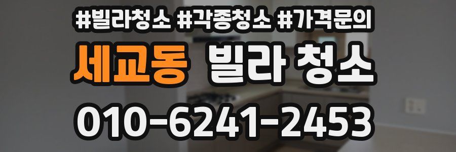 세교동 빌라 청소