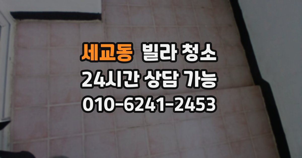 세교동 빌라 청소