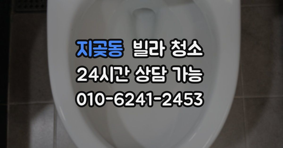 지곶동 빌라 청소
