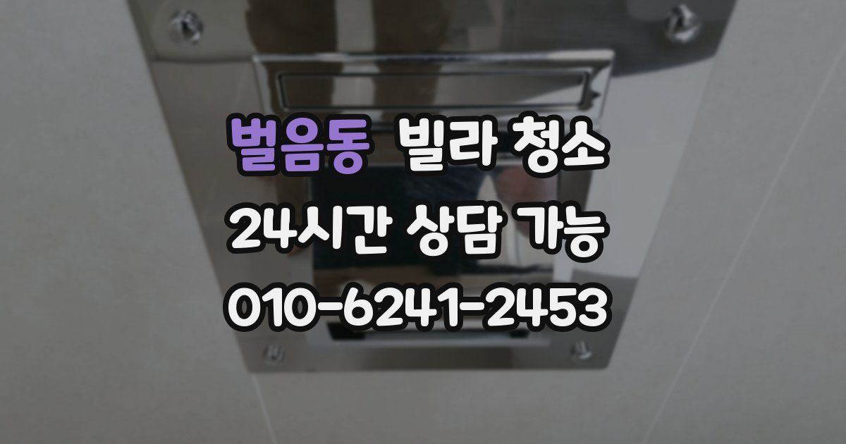 벌음동 빌라 청소