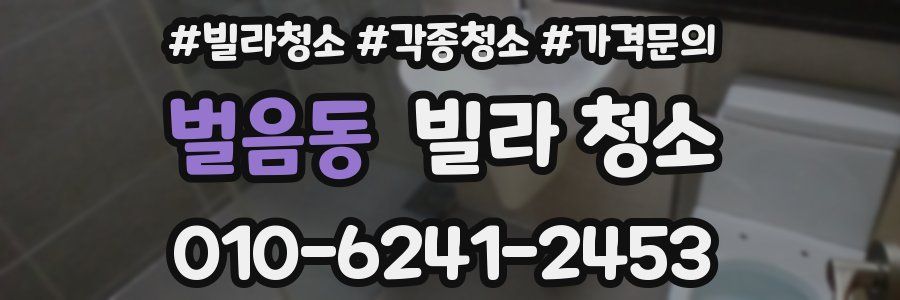 벌음동 빌라 청소