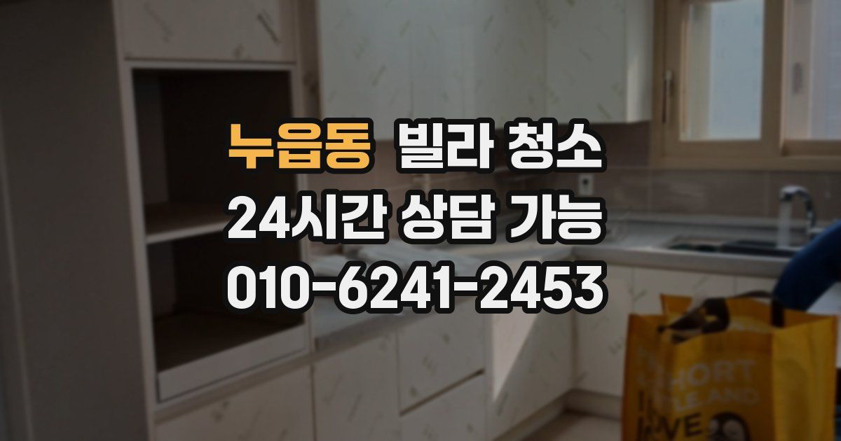 누읍동 빌라 청소