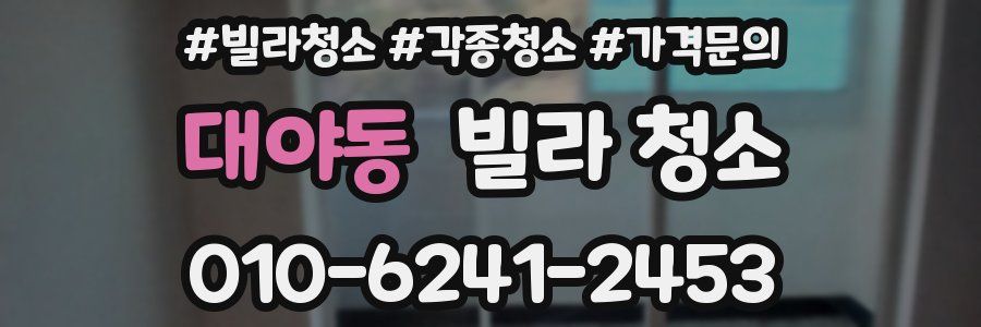 대야동 빌라 청소