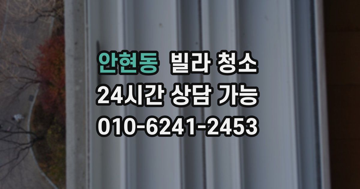 안현동 빌라 청소