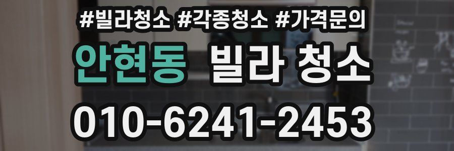 안현동 빌라 청소