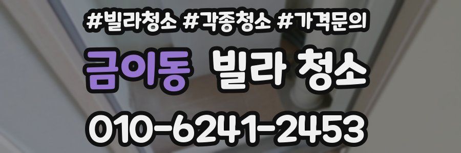 금이동 빌라 청소