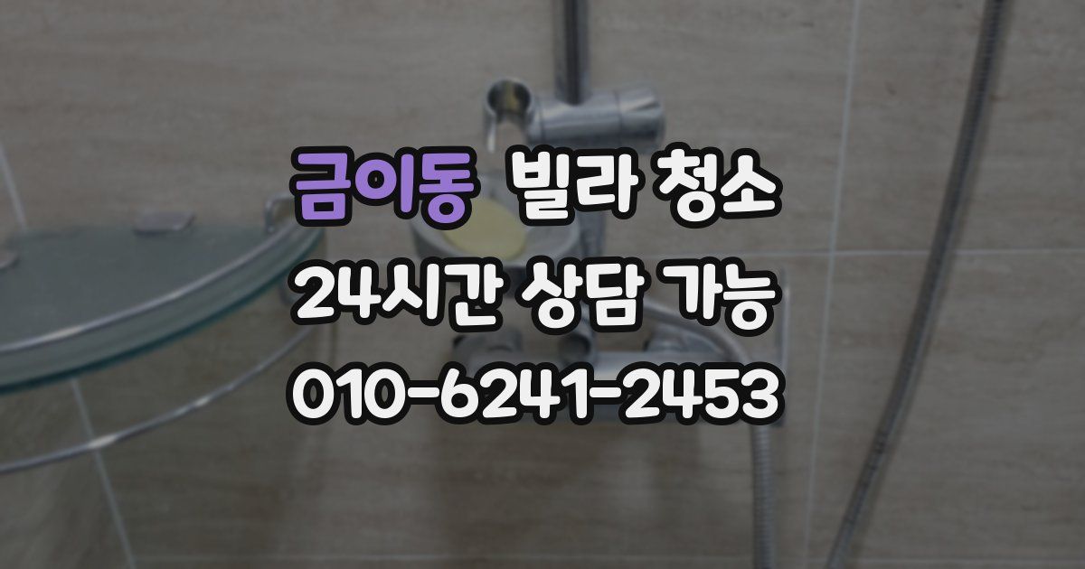 금이동 빌라 청소