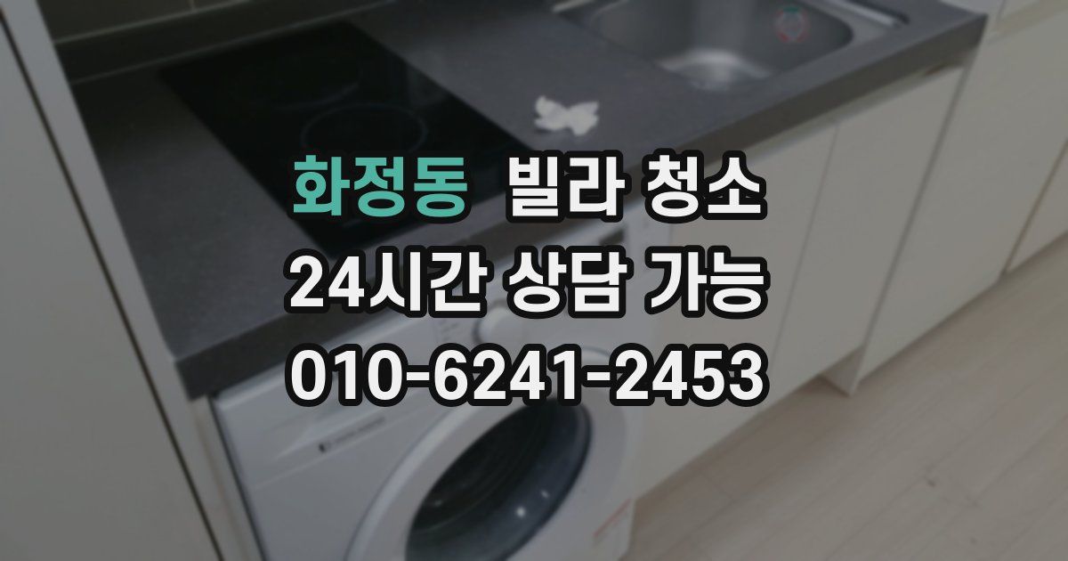 화정동 빌라 청소