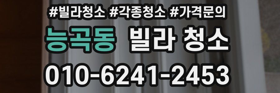 능곡동 빌라 청소