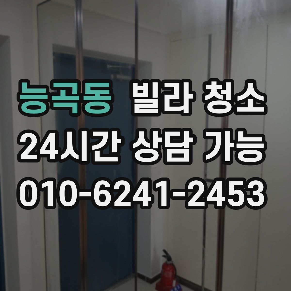 능곡동 빌라 청소