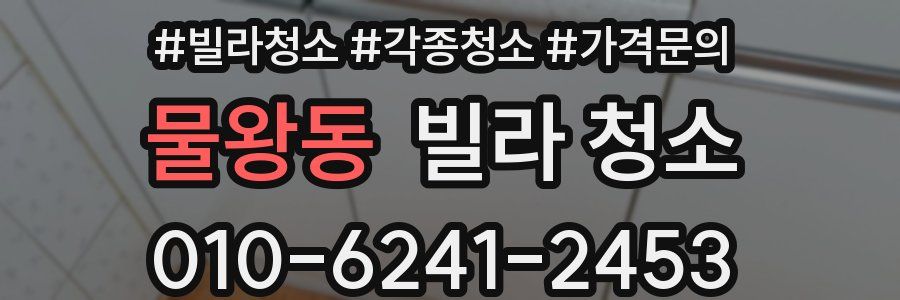 물왕동 빌라 청소