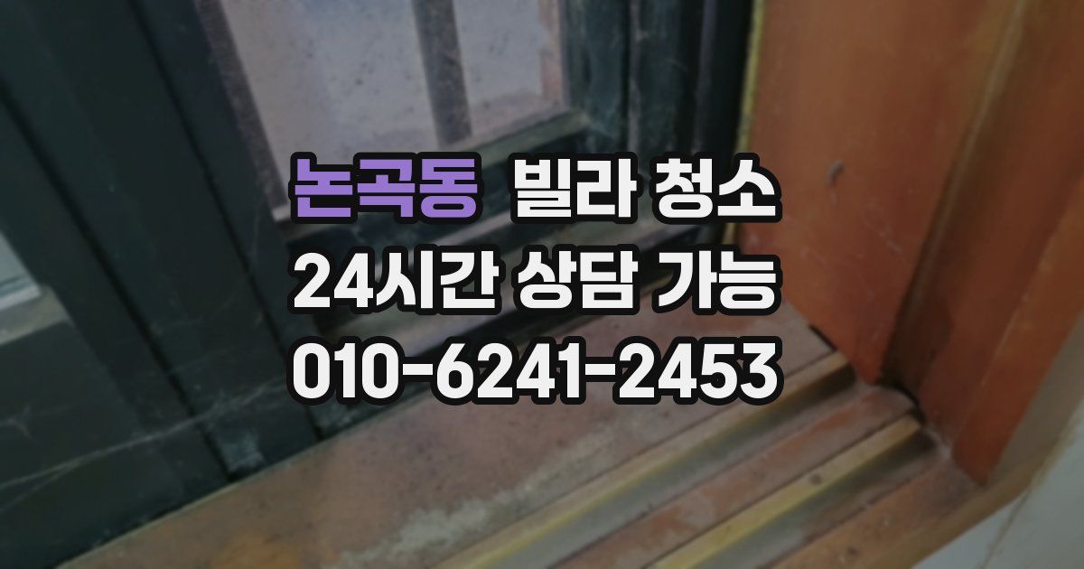 논곡동 빌라 청소