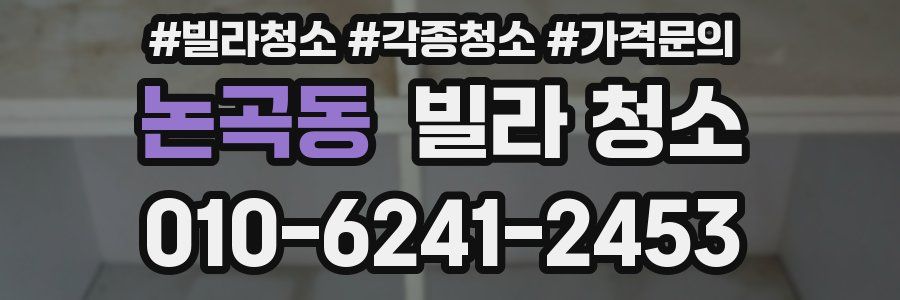 논곡동 빌라 청소