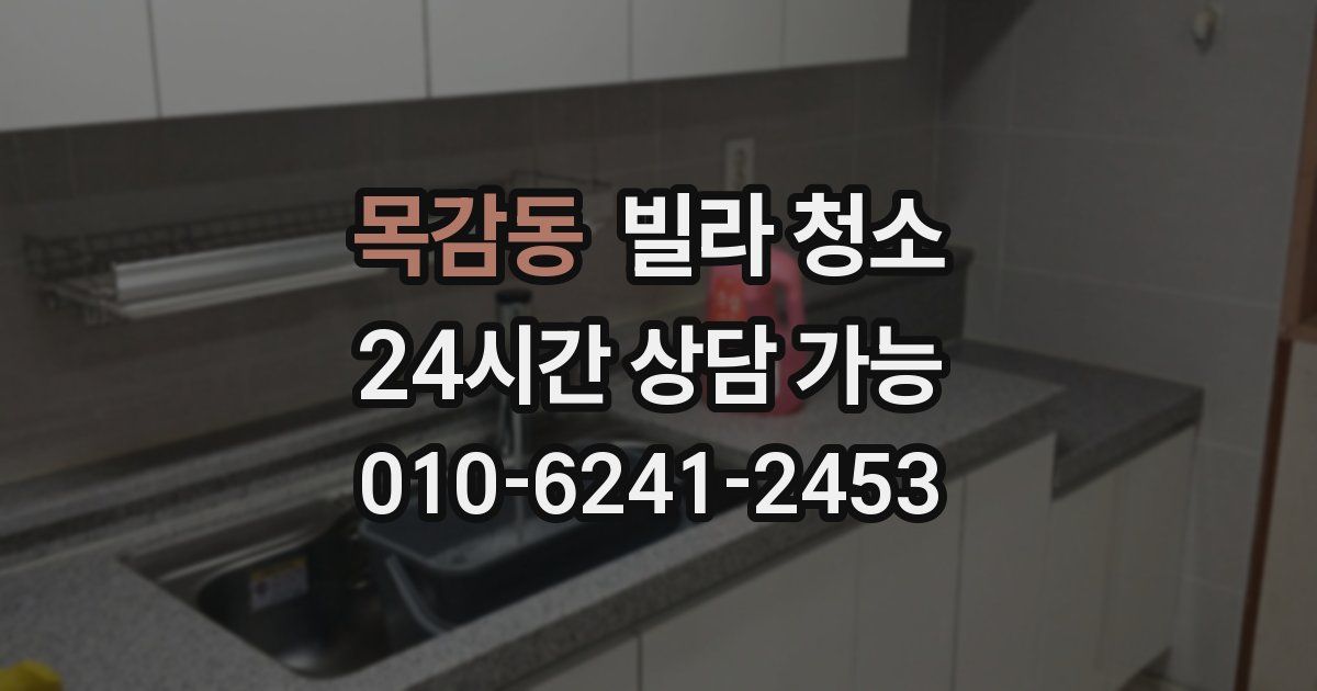 목감동 빌라 청소