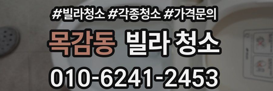 목감동 빌라 청소