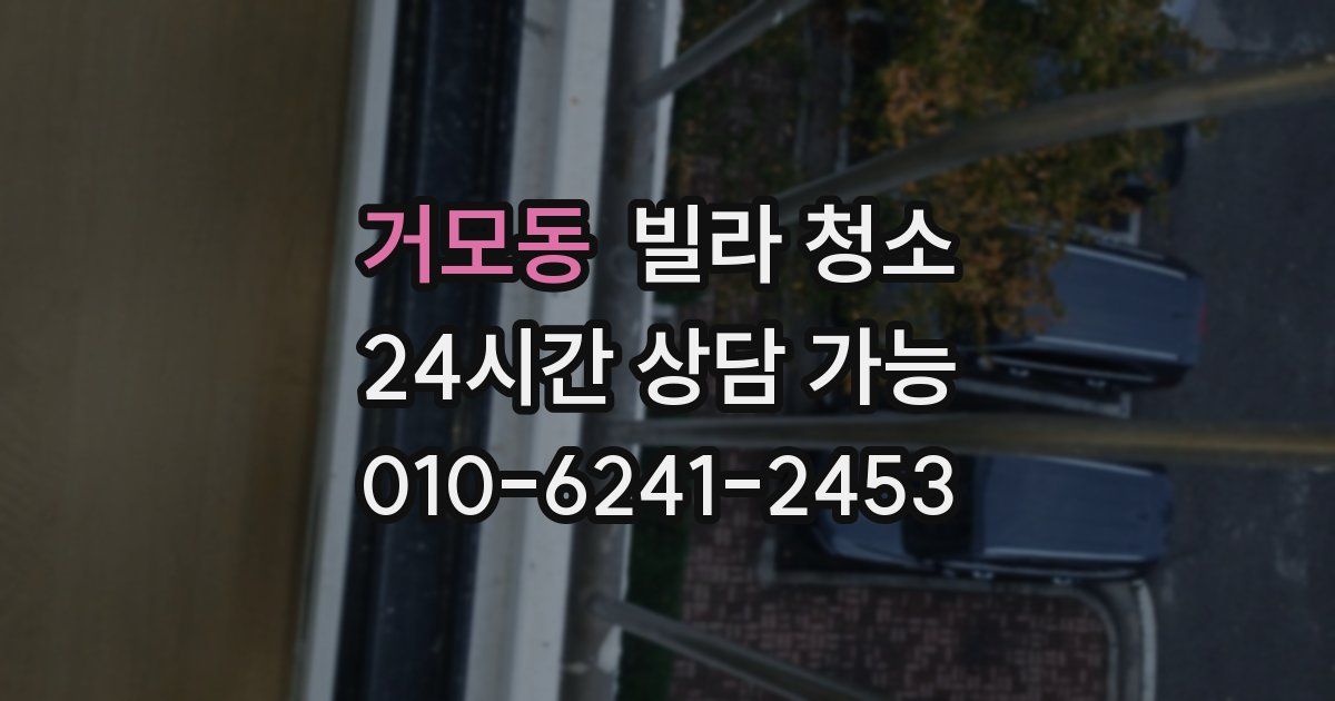 거모동 빌라 청소