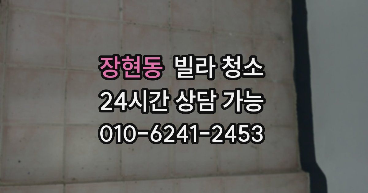 장현동 빌라 청소
