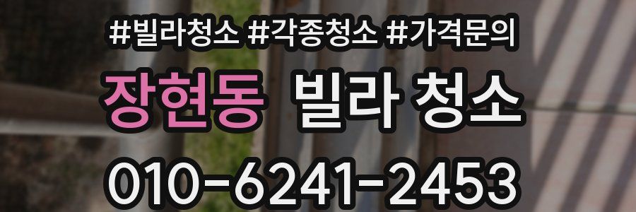 장현동 빌라 청소