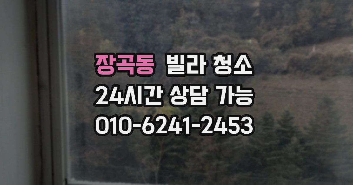 장곡동 빌라 청소