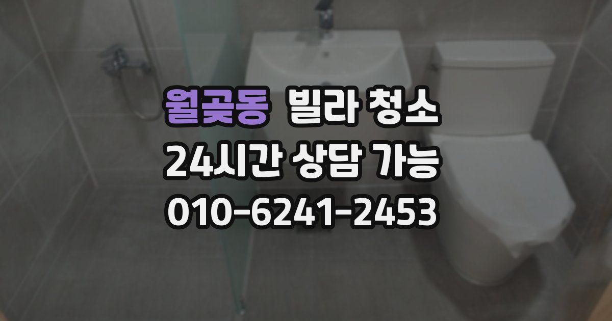 월곶동 빌라 청소