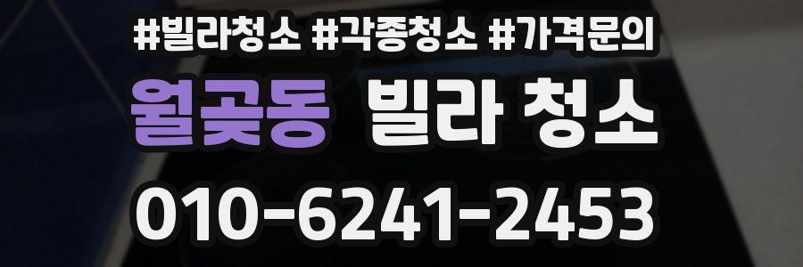 월곶동 빌라 청소