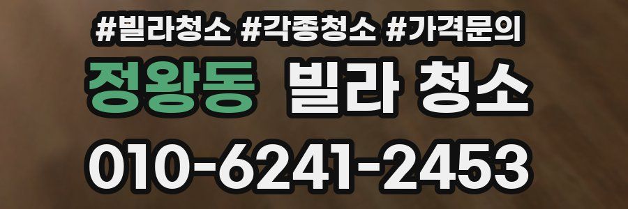 정왕동 빌라 청소