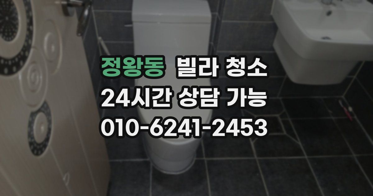 정왕동 빌라 청소