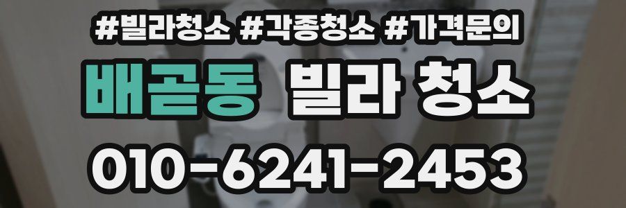 배곧동 빌라 청소